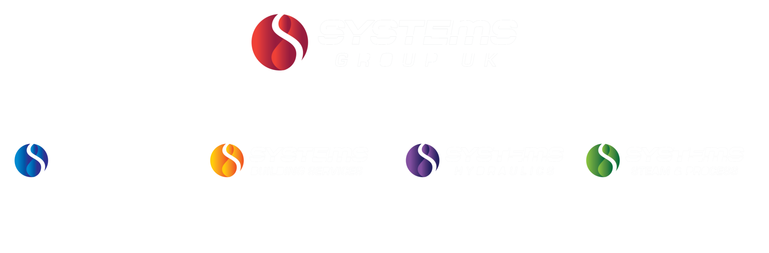 Systems Group Organisation Structure